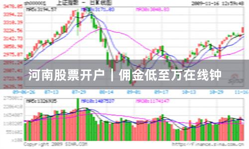 河南股票开户｜佣金低至万在线钟